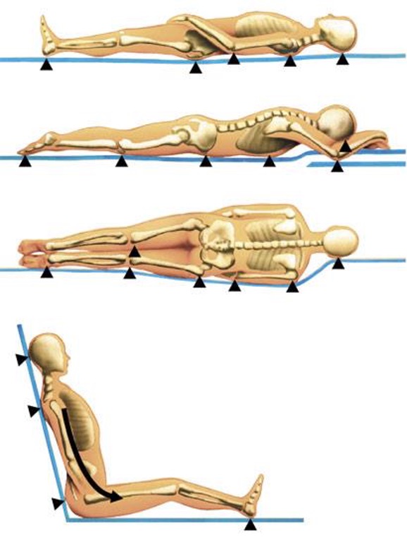 Положение позвоночника лежа на спине